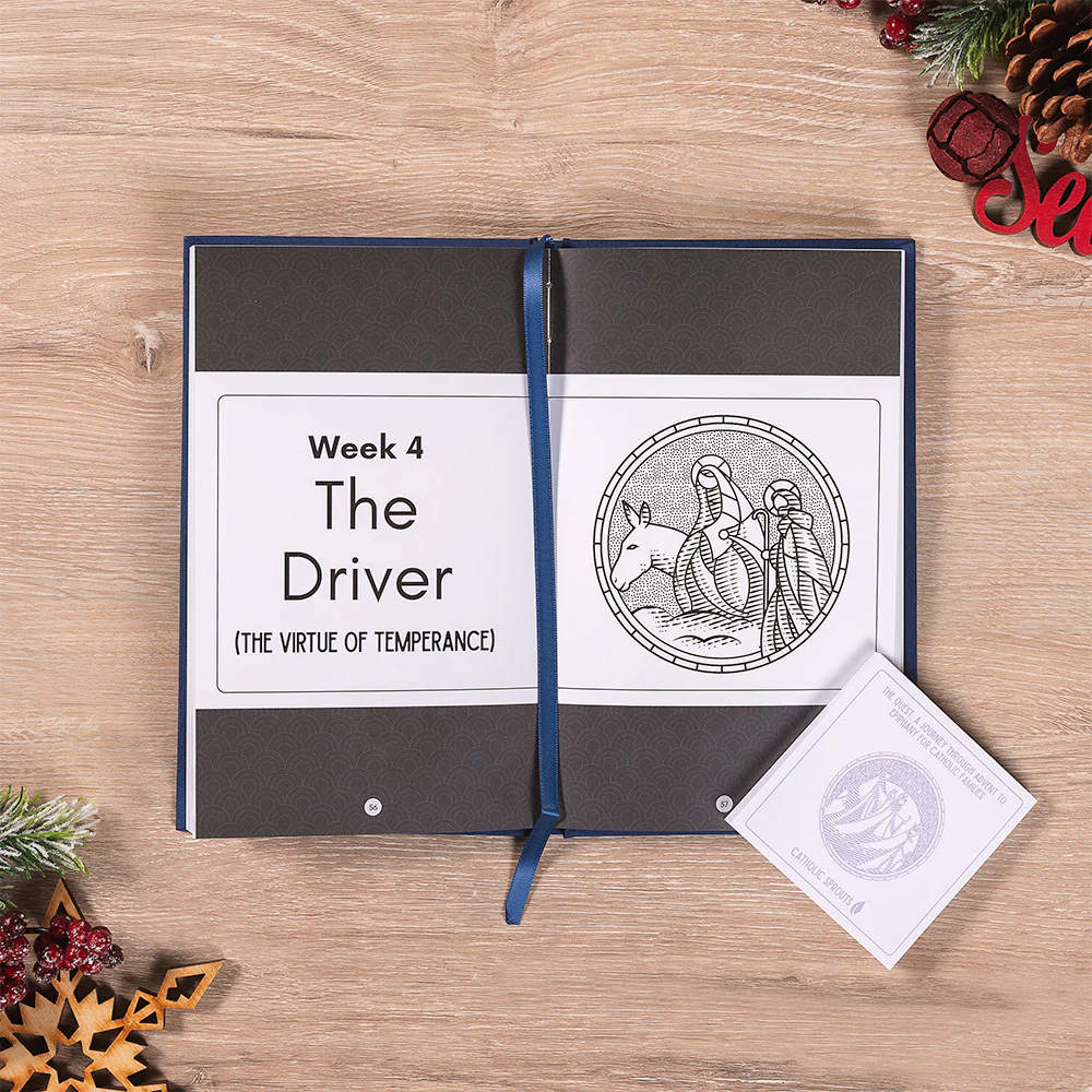 Advent to Christmas Devotional & Coloring Book Family Gift Set - Image 4