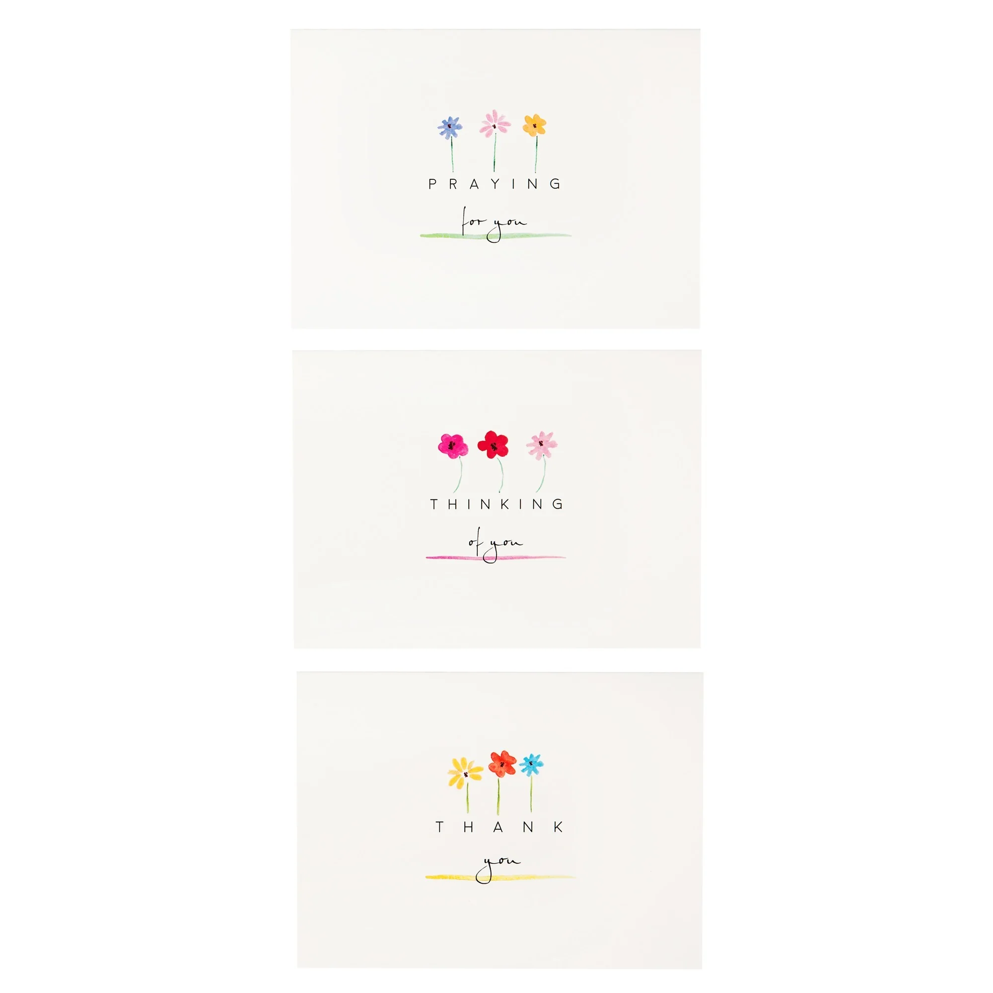 Daisies Collection Note Cards - Set of 12 - Image 2