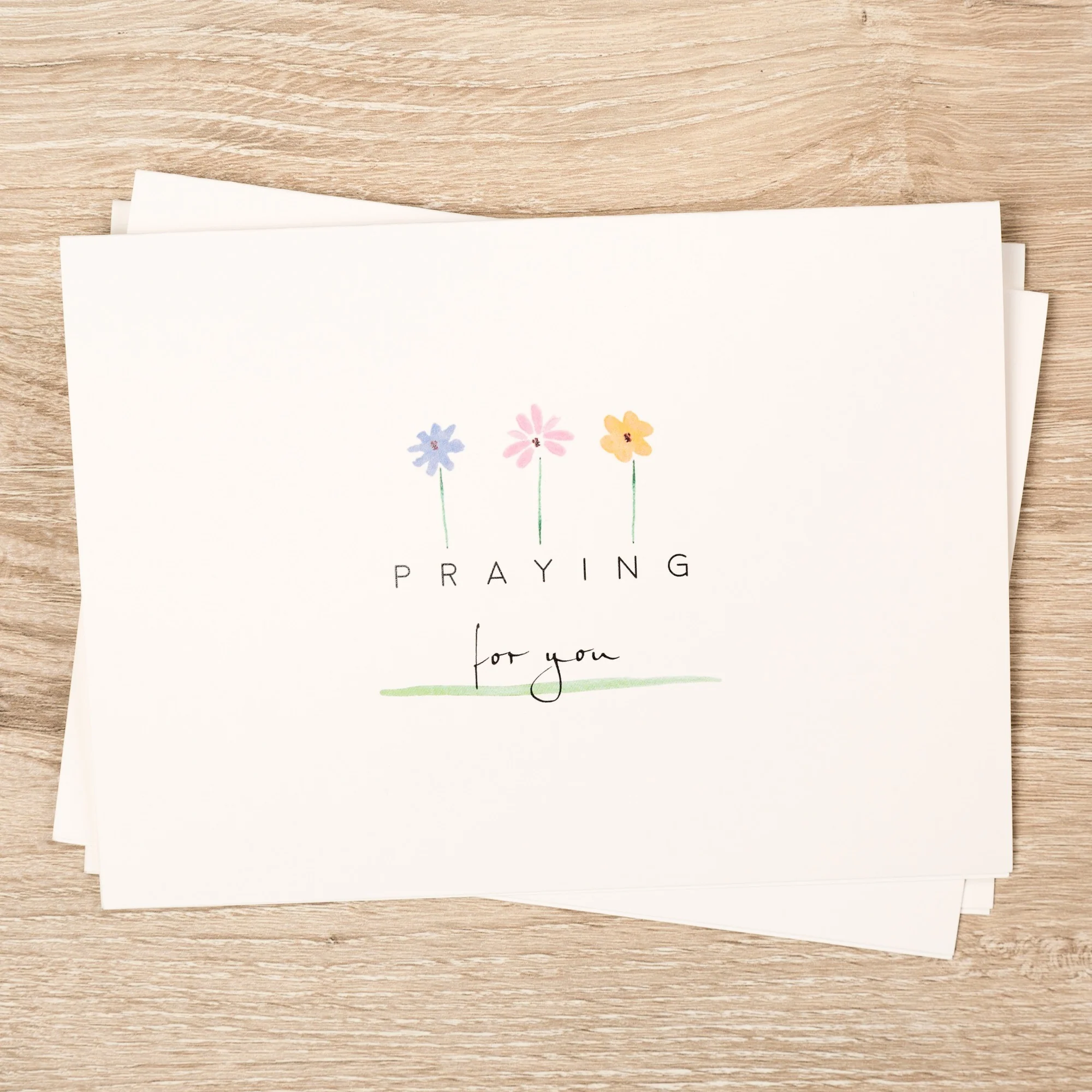Daisies Collection Note Cards - Set of 12 - Image 3