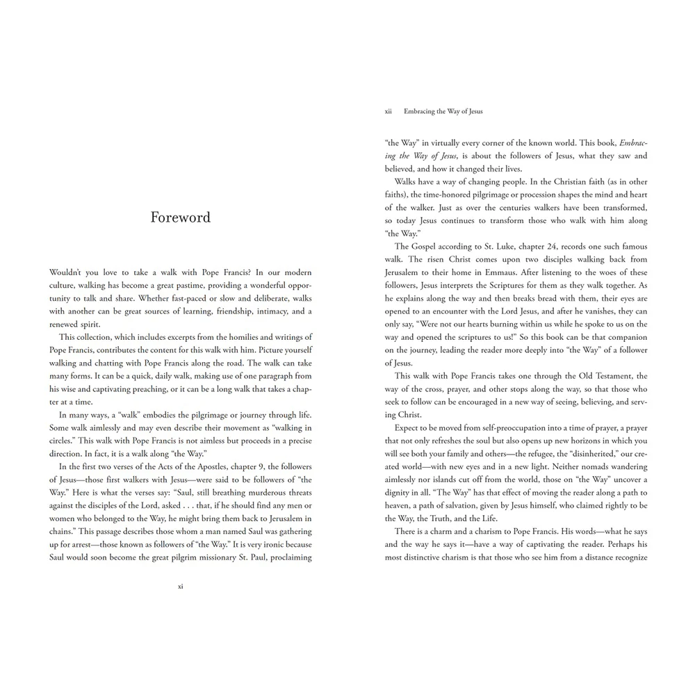Embracing the Way of Jesus: Reflections from Pope Francis on Living Our Faith - Image 11