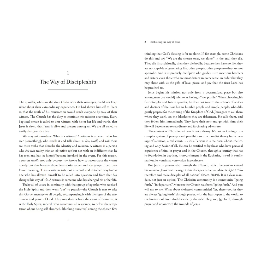 Embracing the Way of Jesus: Reflections from Pope Francis on Living Our Faith - Image 5