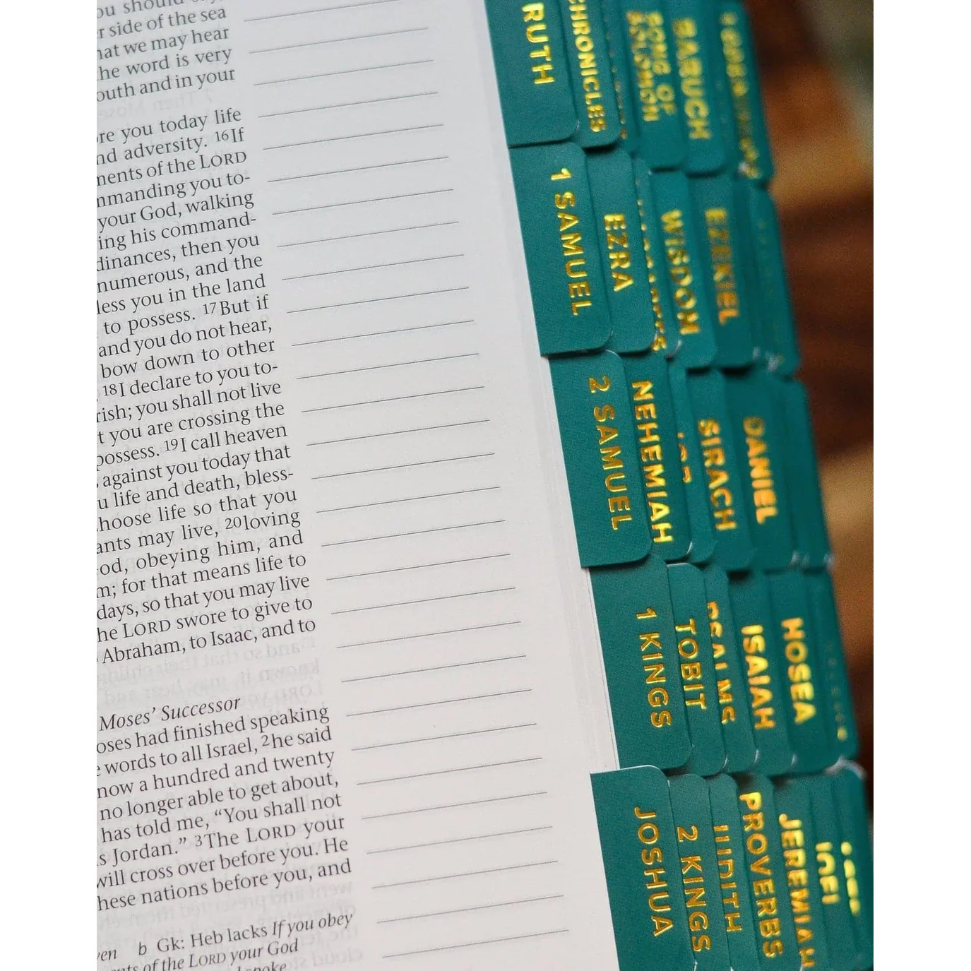Gold Foiled Catholic Bible Tabs - Multiple Designs - Image 25