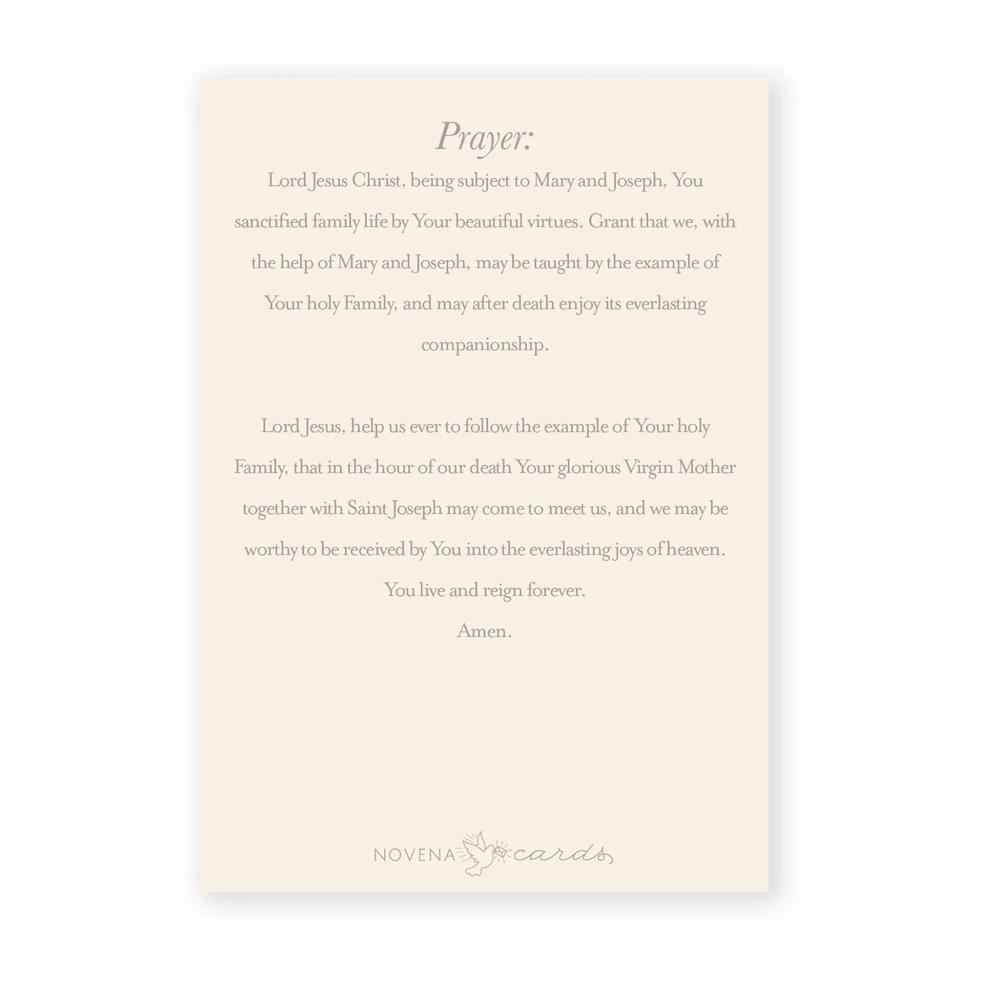 Holy Family Novena & Dedication Folded Prayer Card - Image 3