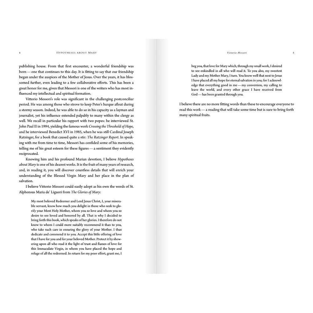 Hypotheses About Mary: Facts, Clues, Enigmas - Image 14