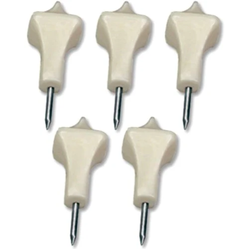 Incensed Paschal Nail Set - Image 3