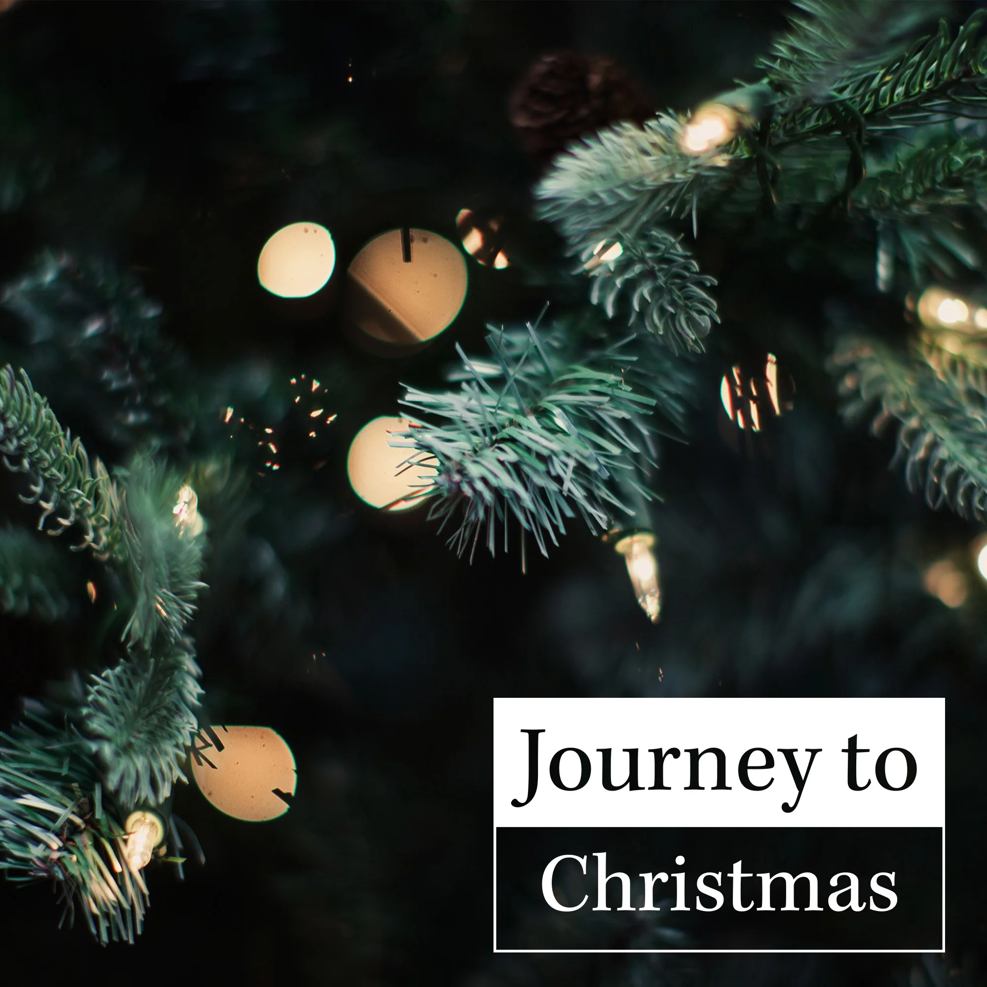 Journey To Christmas - Good Catholic Digital Content Series