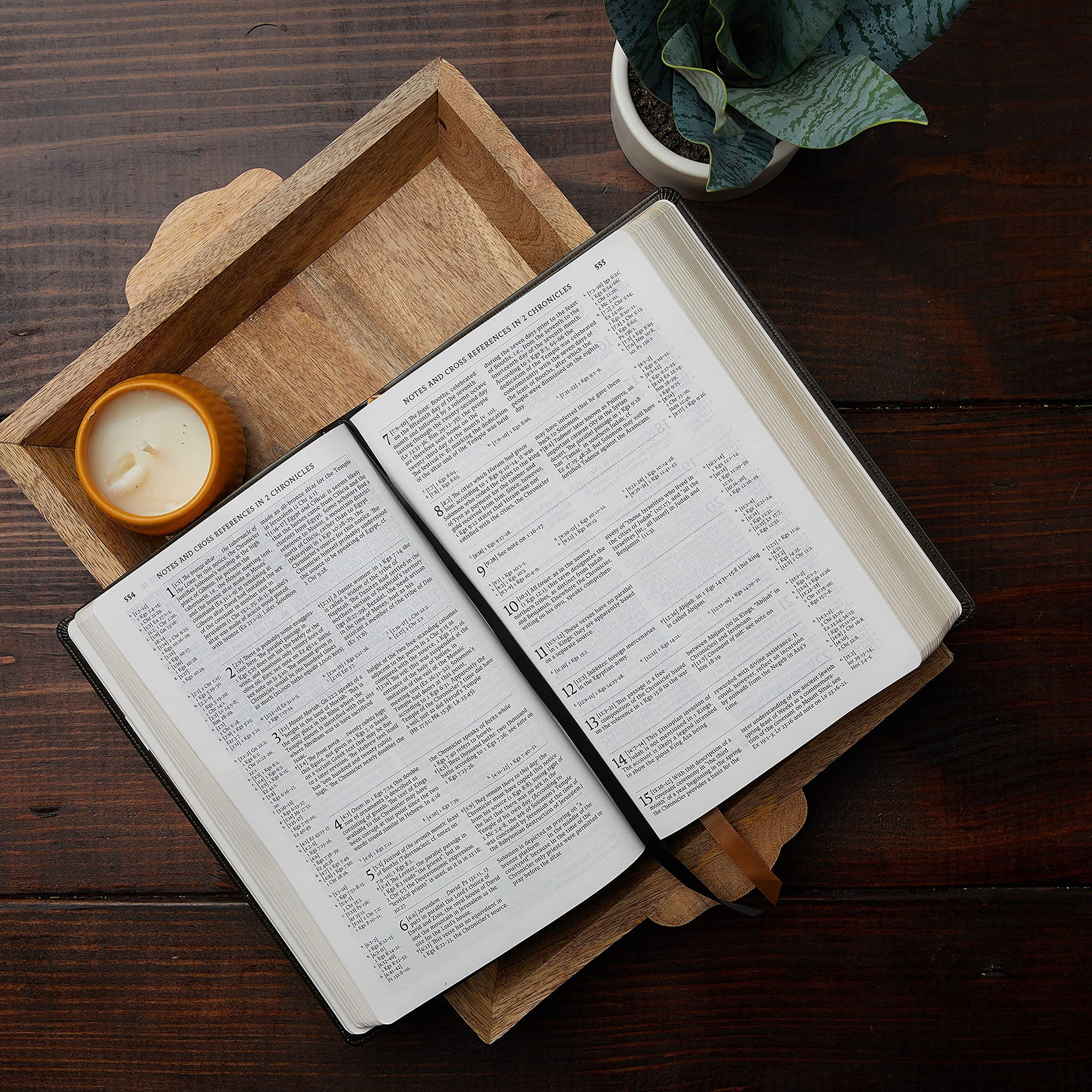 Large Print New American Bible (NABRE) - Leathersoft Gift Edition - Image 2