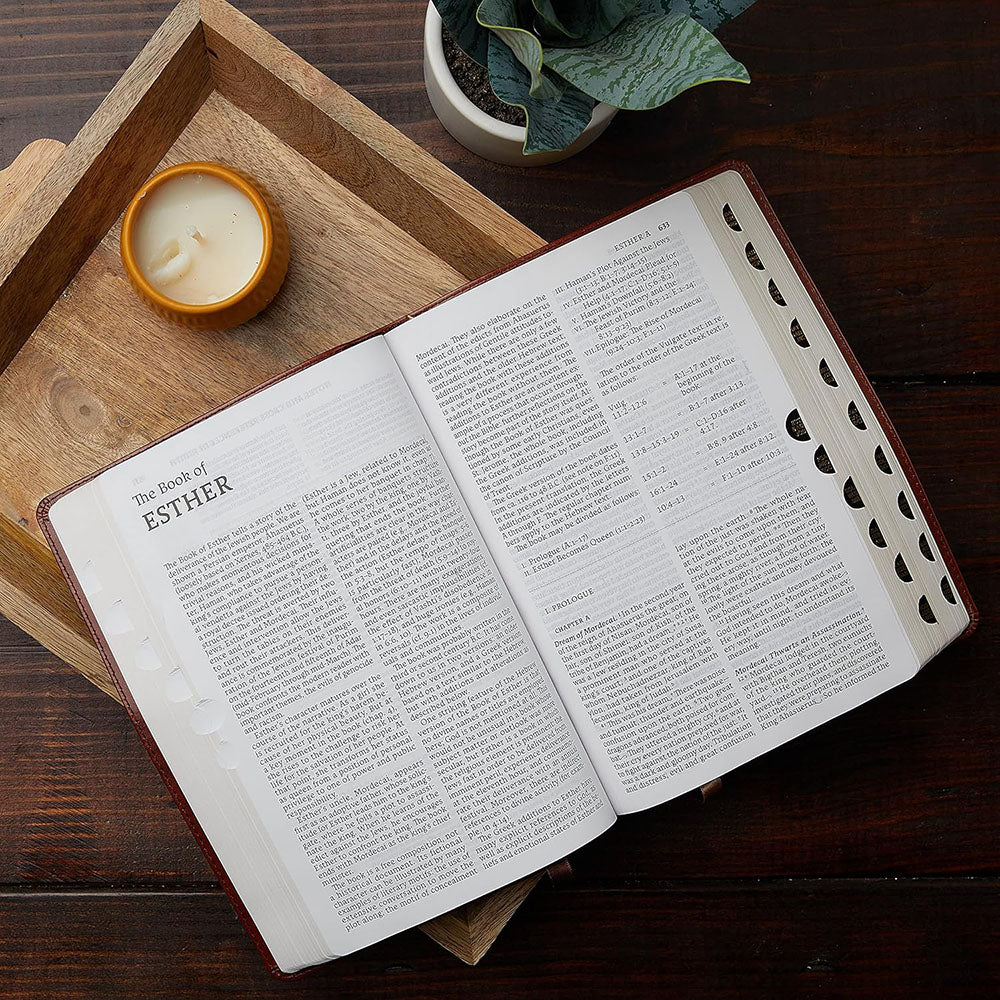 Large Print New American Bible (NABRE) - Leathersoft Gift Edition - Image 3