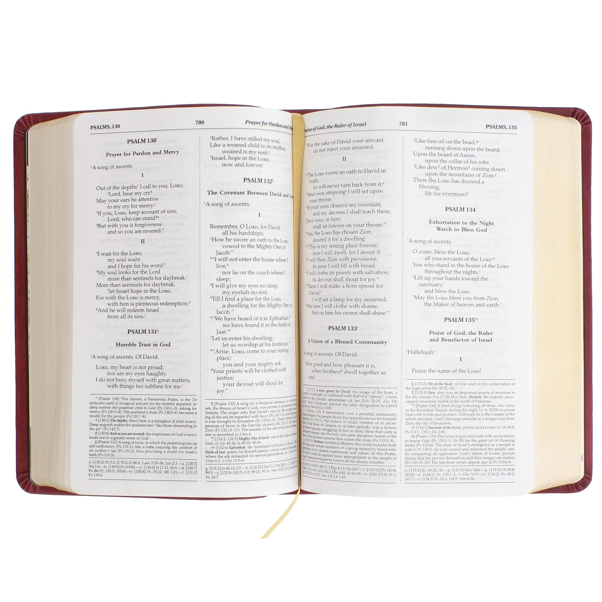 Madonna and Child Bible - Image 4