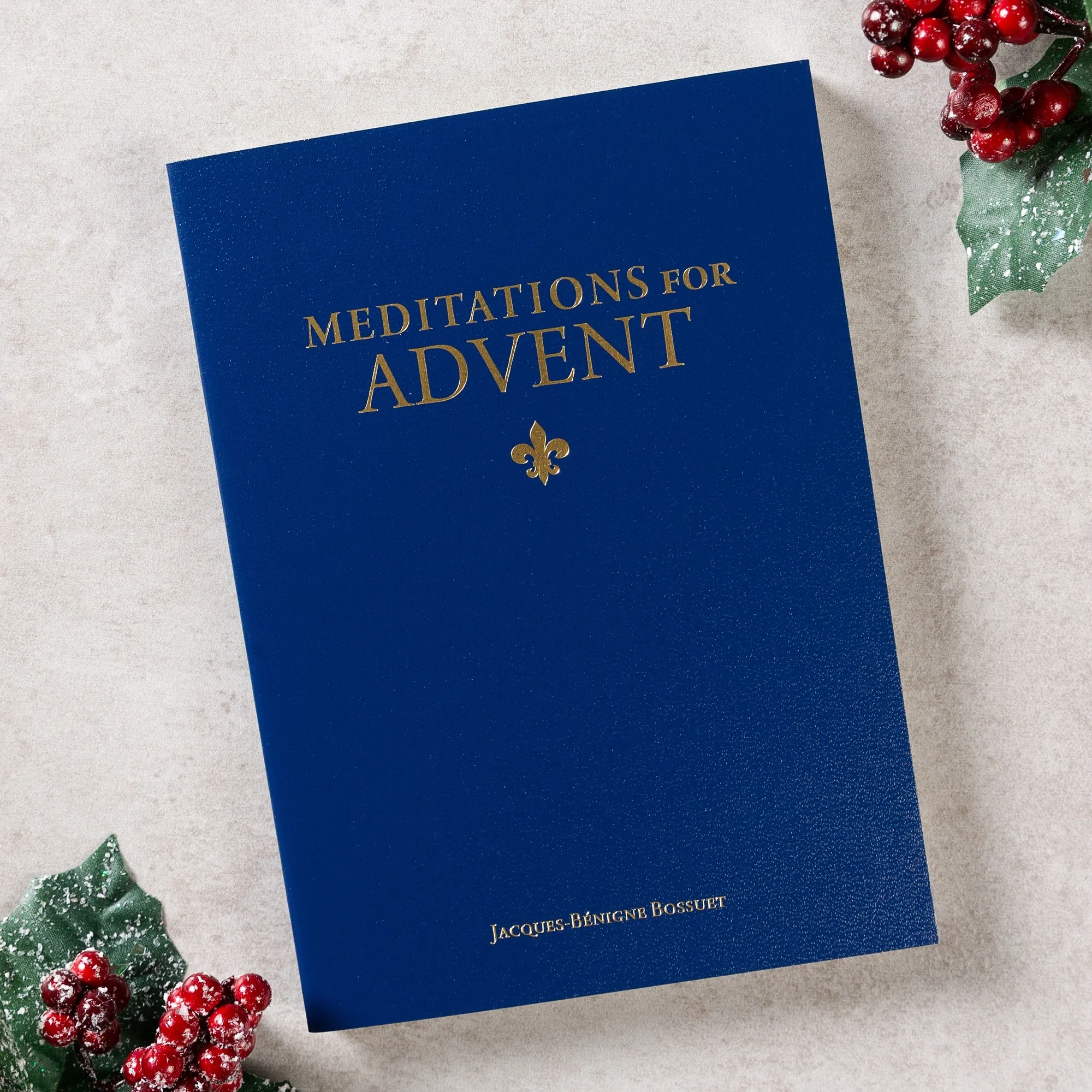 Meditations for Advent - Image 3