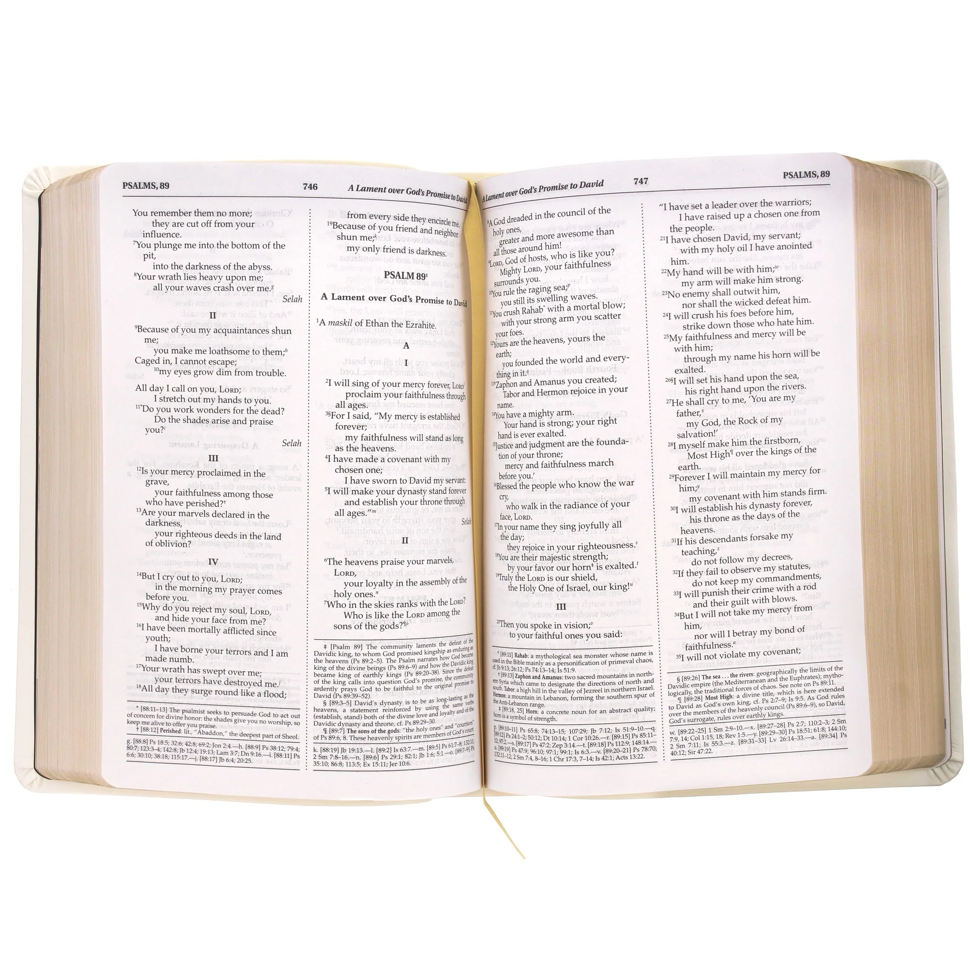 Mother Teresa "If We Pray" Bible - Image 2
