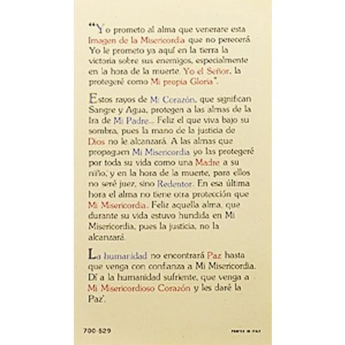 Nuestro Senor de la Misericordia (Chaplet of the Divine Mercy) – Spanish Prayer Card - Image 2