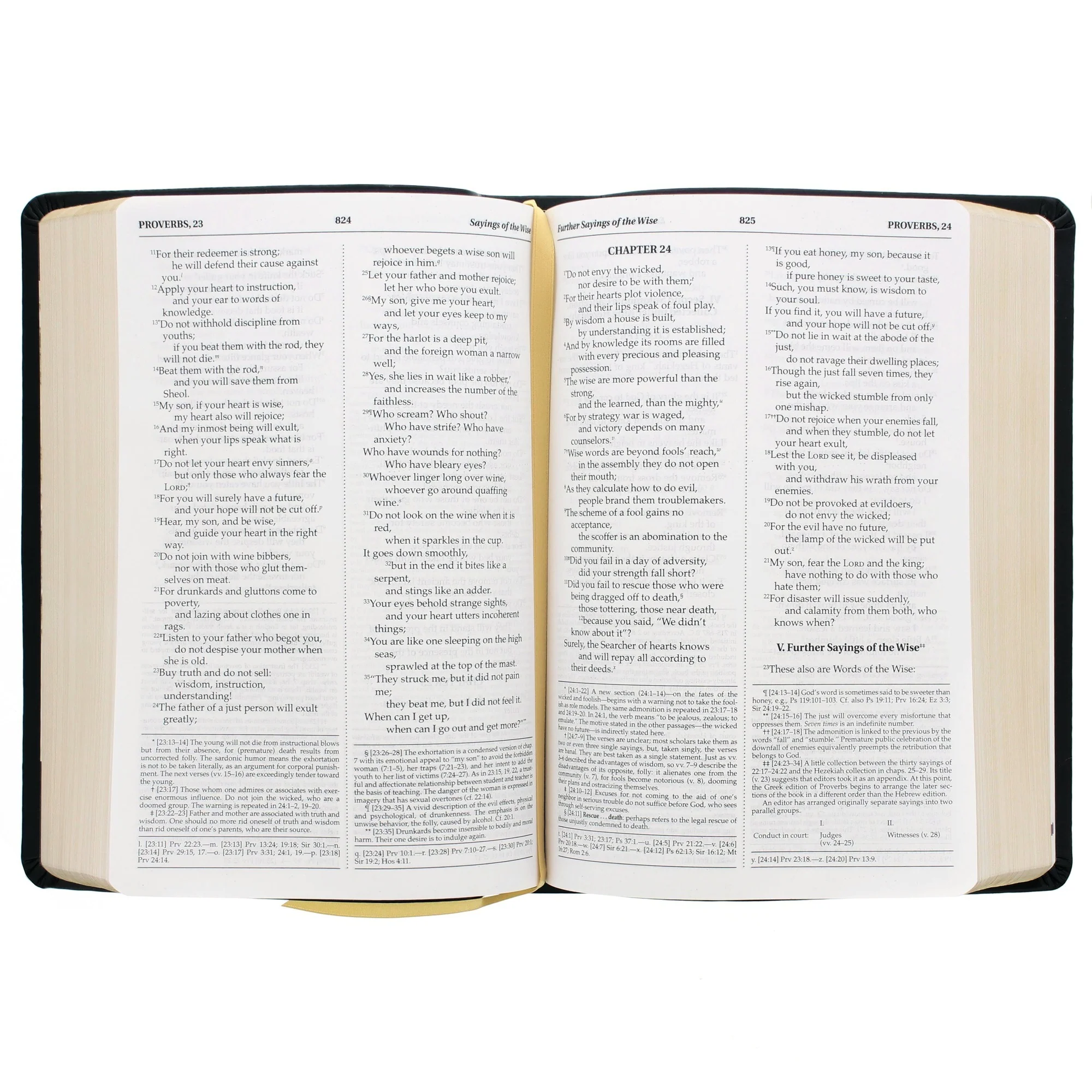 Queen of Angels Bible - Image 4