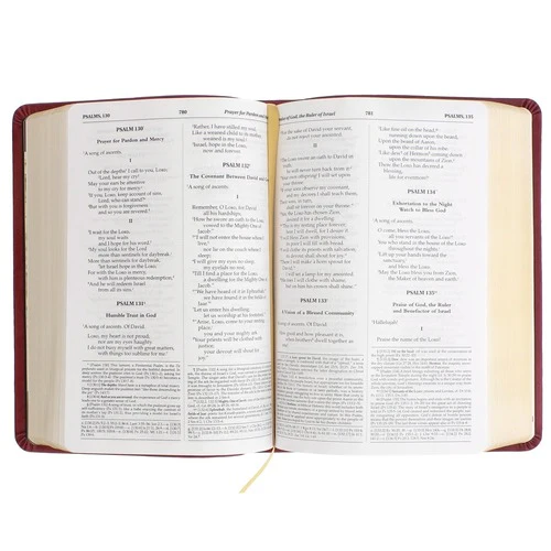 Saint Thomas More Bibles - Image 6