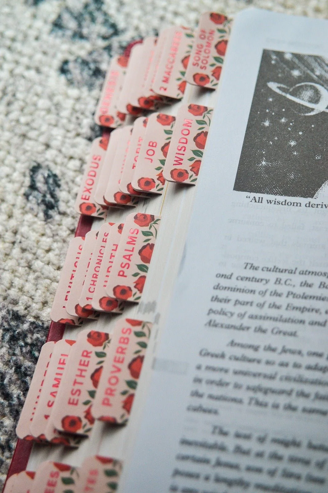 Shower of Roses Catholic Bible Tabs - Image 11