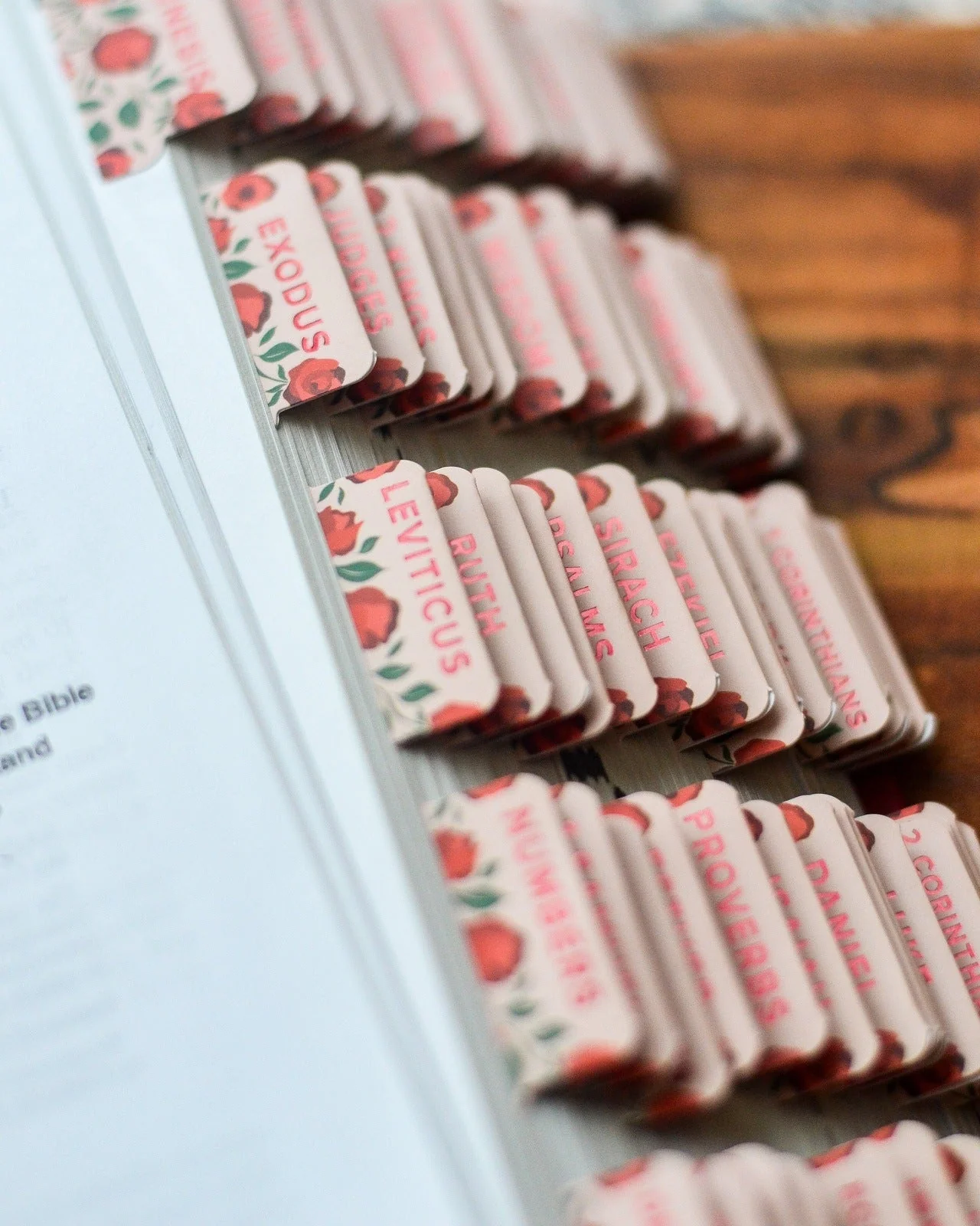 Shower of Roses Catholic Bible Tabs - Image 3