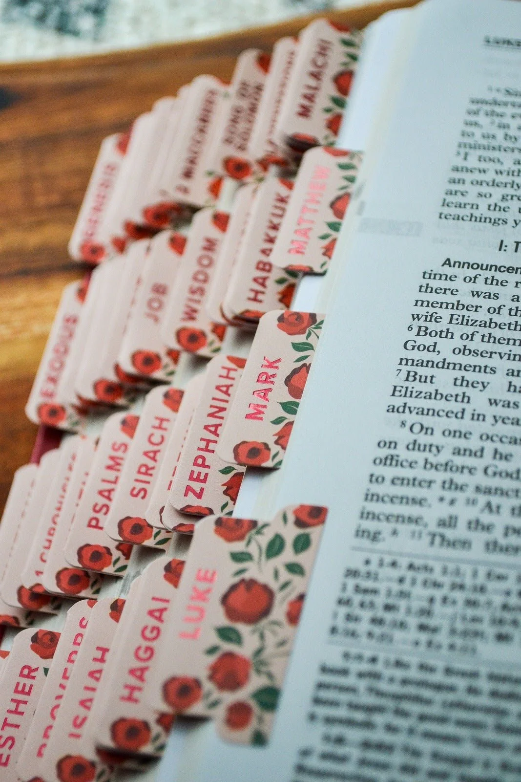 Shower of Roses Catholic Bible Tabs - Image 7