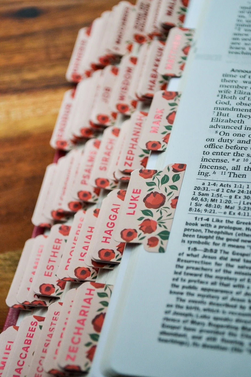 Shower of Roses Catholic Bible Tabs - Image 8