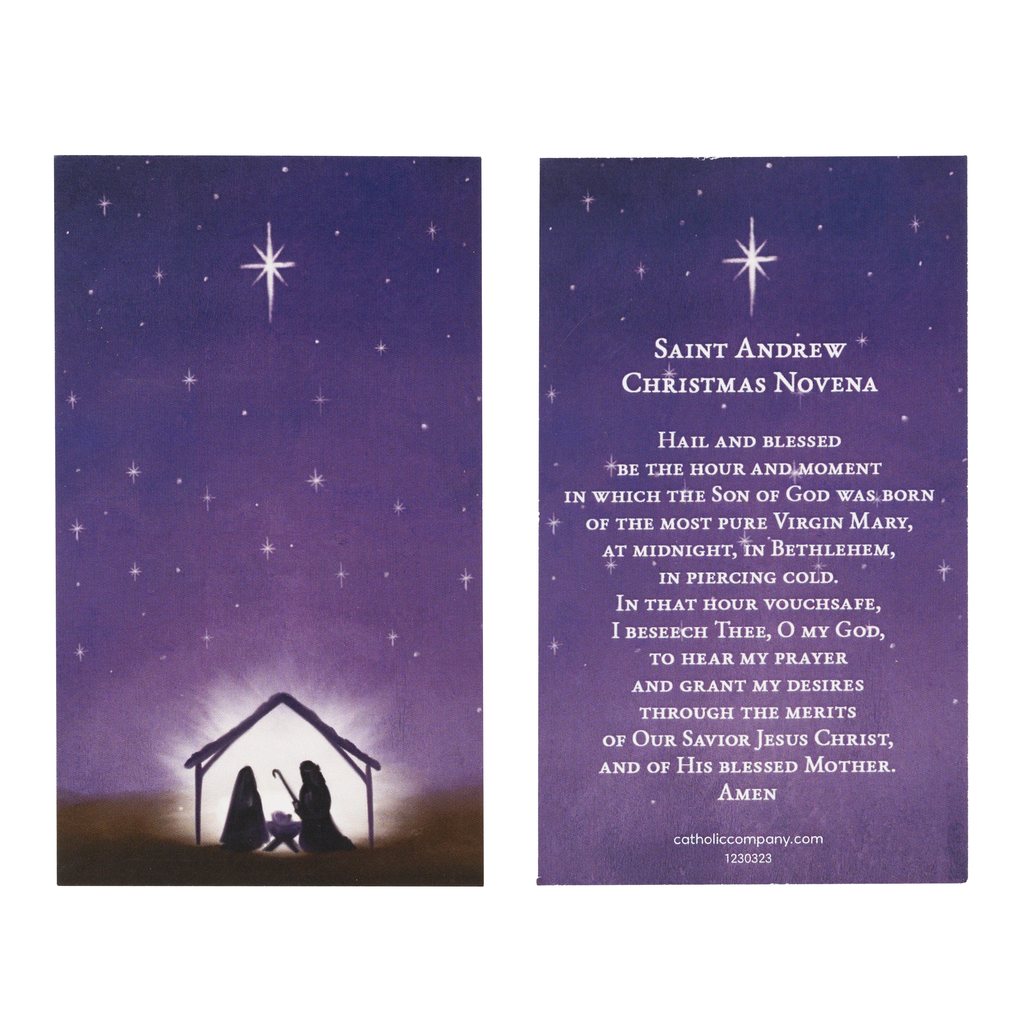 St. Andrew Novena Prayer Card - Image 2