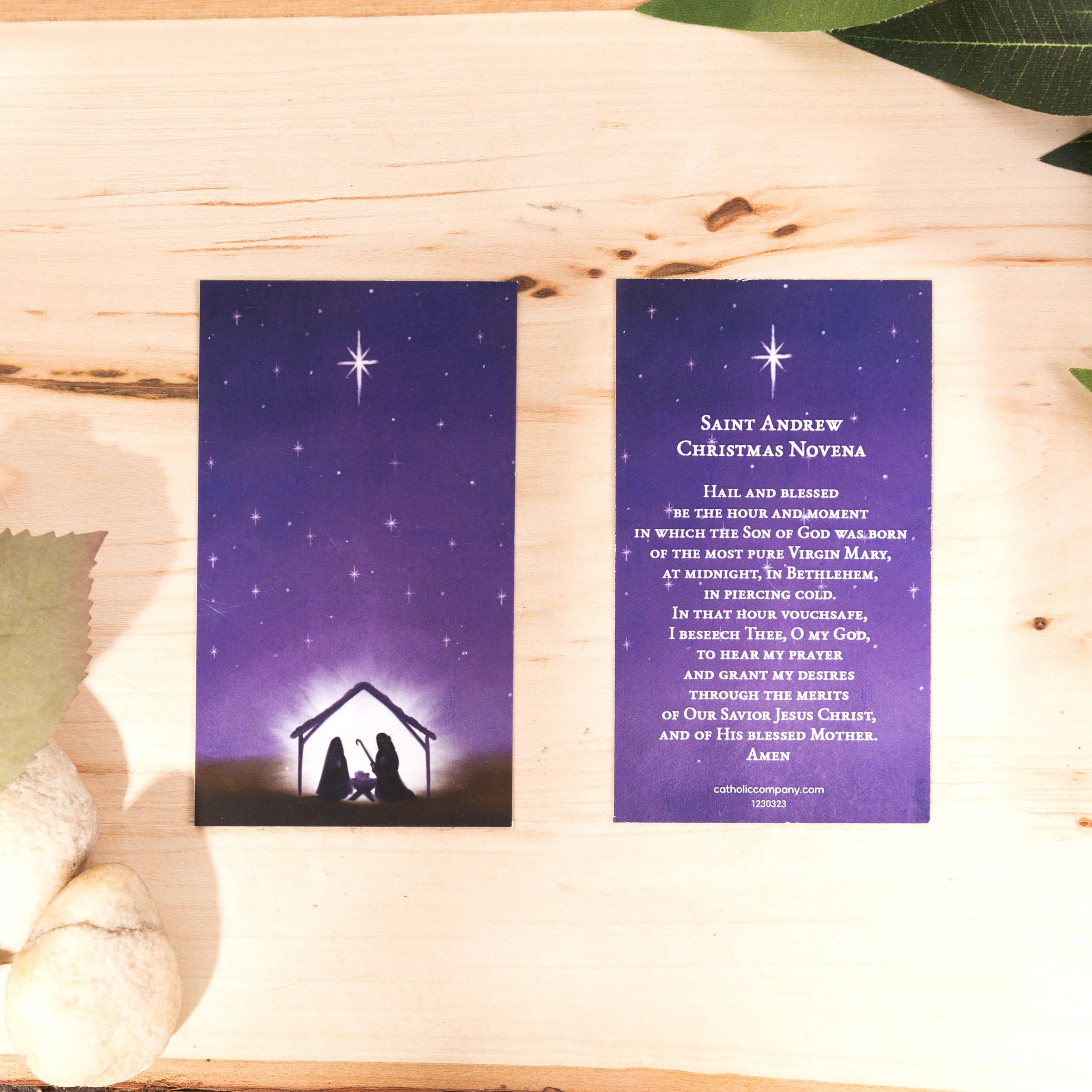 St. Andrew Novena Prayer Card - Image 3