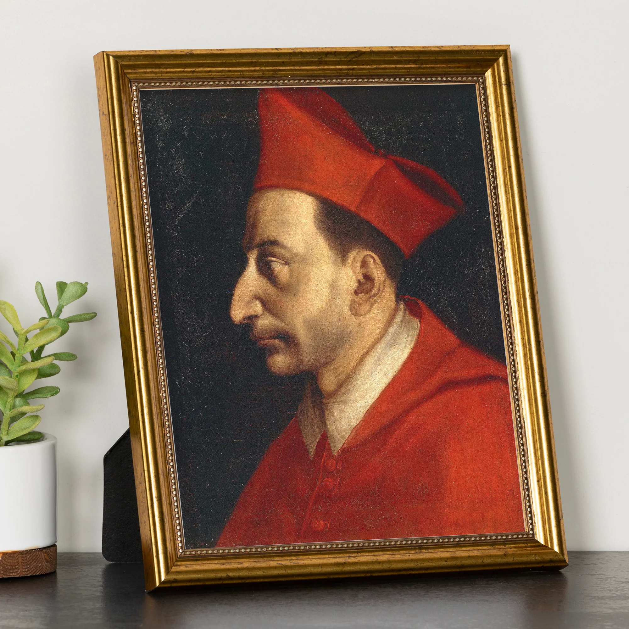 St Charles Borromeo Framed Print