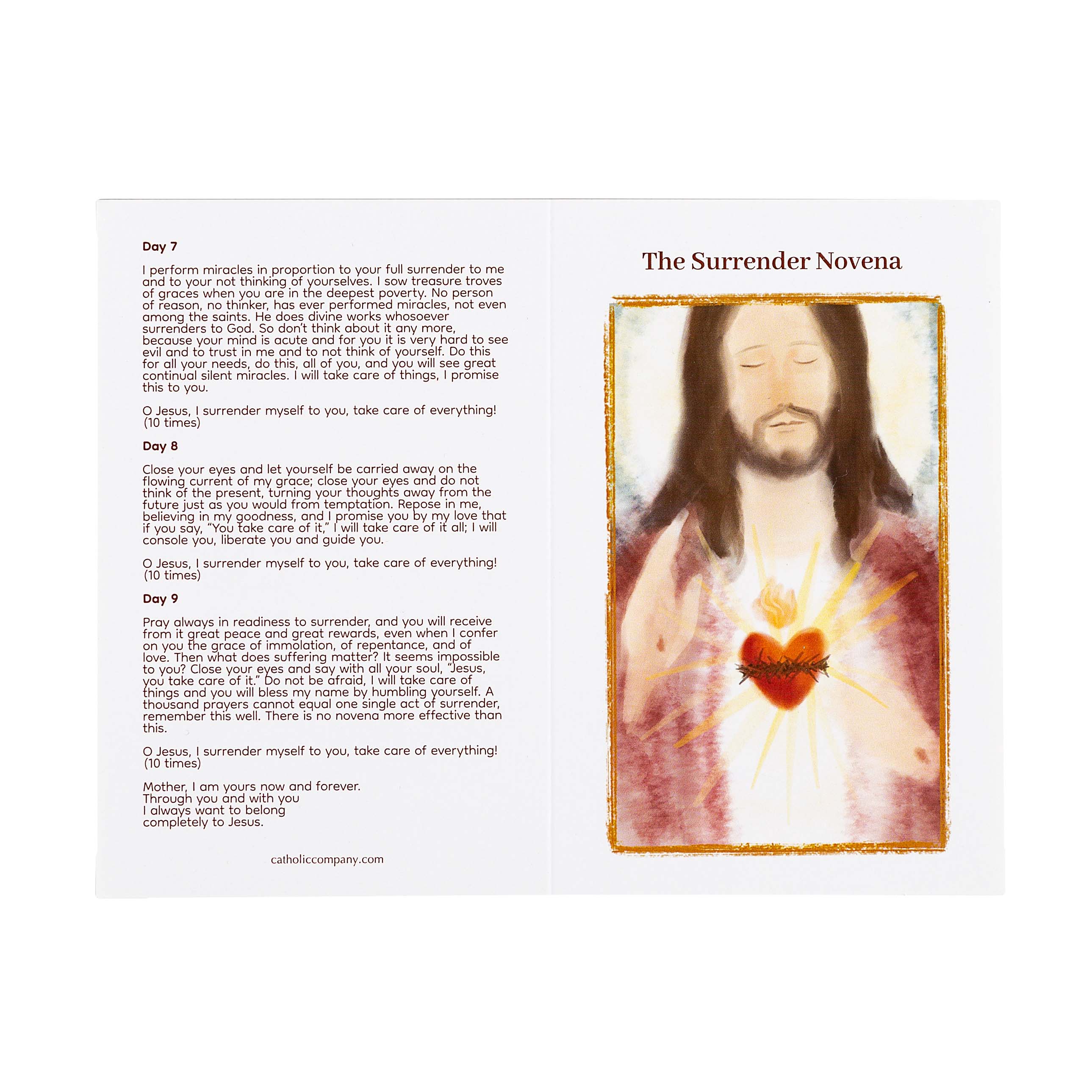 Surrender Novena Prayer Card - Image 3