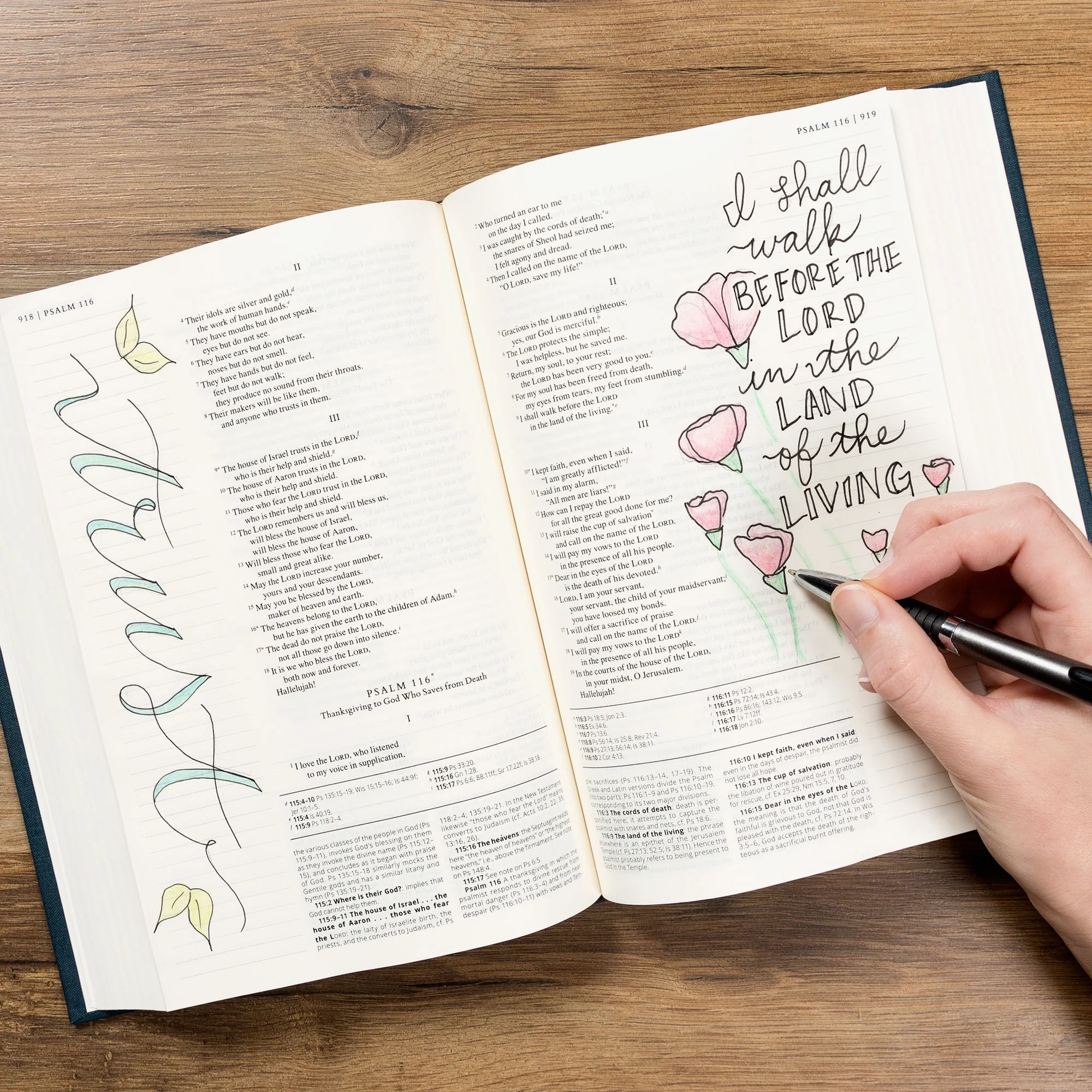 The Catholic Notetaking Bible: Blessed Is She Edition - Image 3