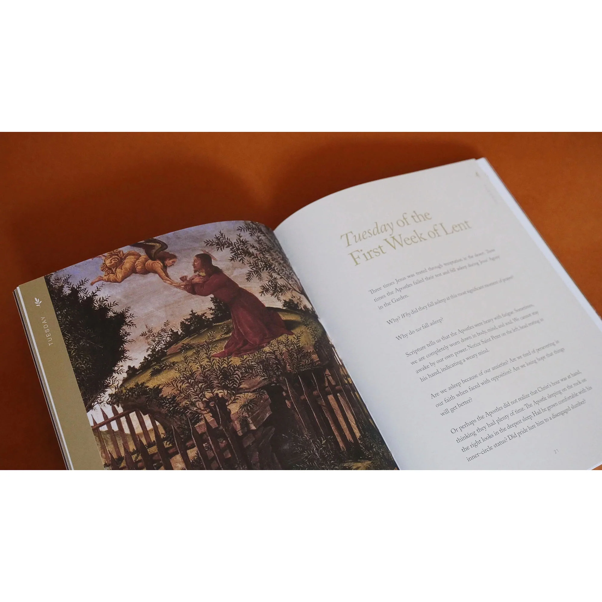 Under the Olive Tree: Lent Devotional for Women - Image 2