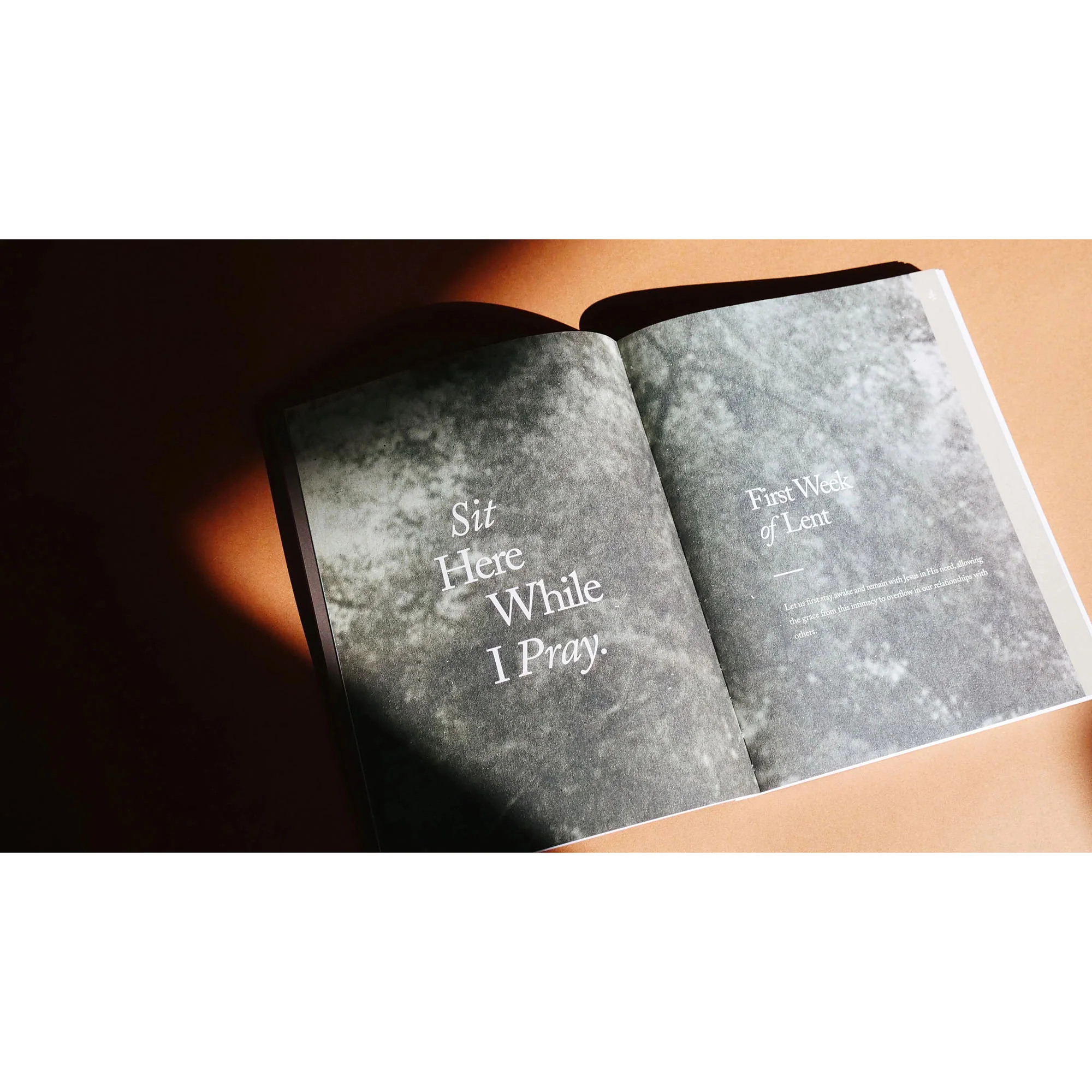 Under the Olive Tree: Lent Devotional for Women - Image 7