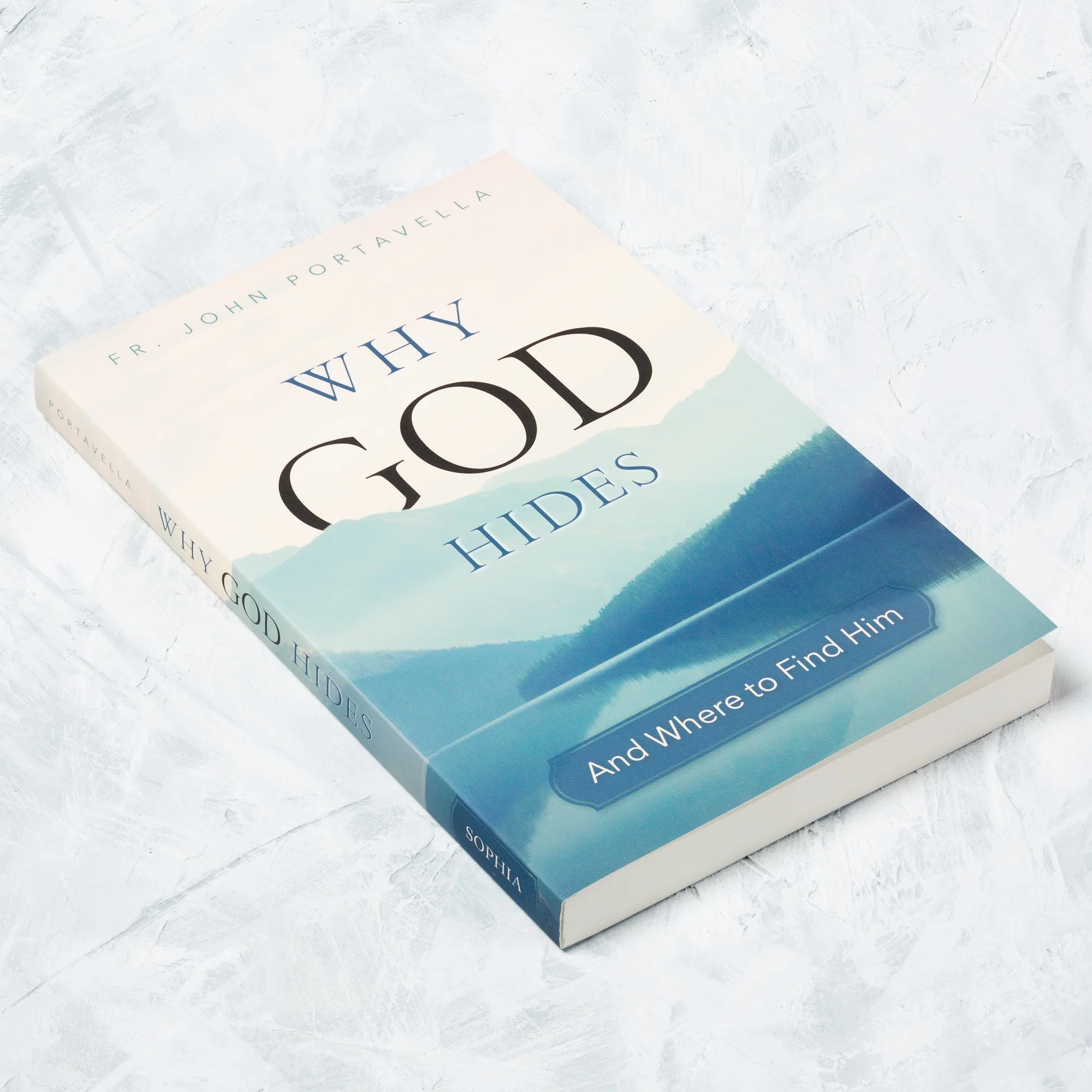 Why God Hides: And Where to Find Him - Image 2